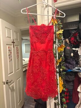LIMITED EDITION Lucy in the Sky Red Lace Dress